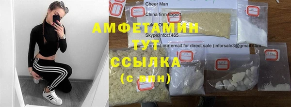 индика Волоколамск