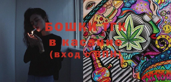 PSILOCYBIN Вяземский