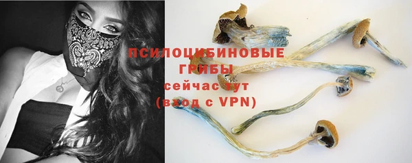 индика Волоколамск