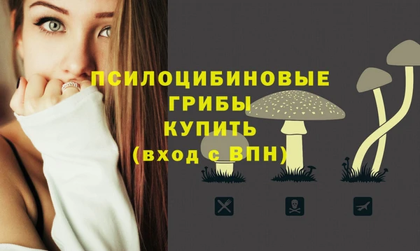дурь Вязьма