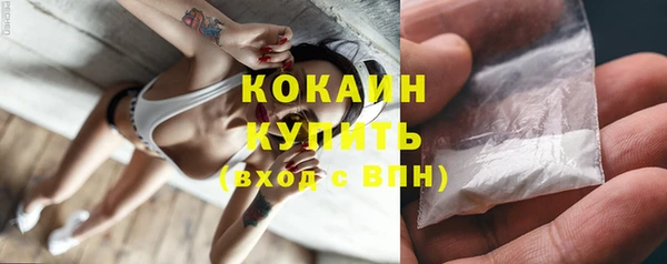 индика Волоколамск
