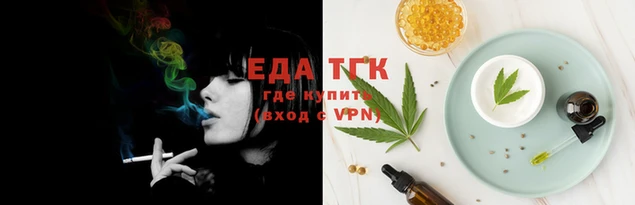 PSILOCYBIN Вяземский