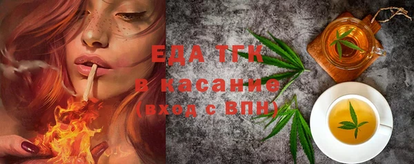 индика Волоколамск