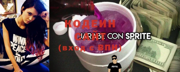 индика Волоколамск